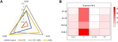 Interactive Effects of Microplastics and Tetracycline on Bioaccumulation and Biochemical Status in Jian Carp (Cyprinus carpio var. Jian)